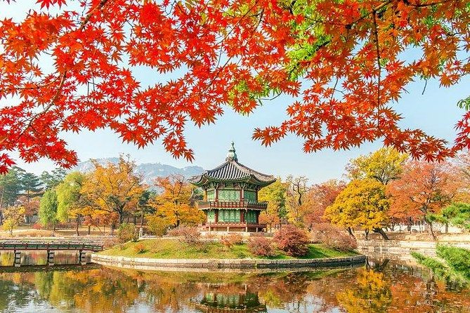 Full Day Private Seoul Tour for foodies - N Seoul Tower for the city view