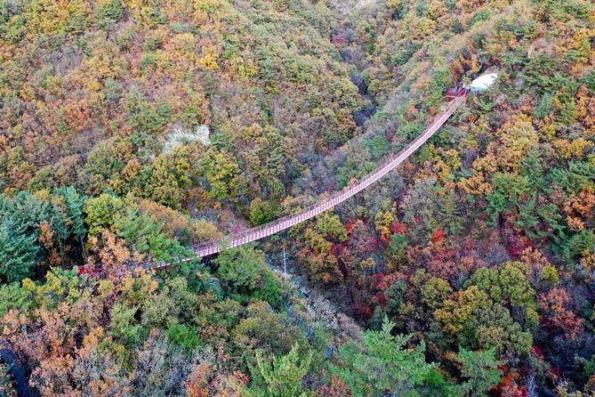 Full Day Private Tour DMZ (The 3rd Tunnel) & Suspension Bridge - What the $160 price includes
