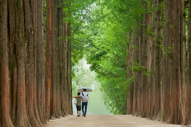 Full Day Private Tour Nami Island, Garden & Petite France - Petite France, Korea’s French-style village