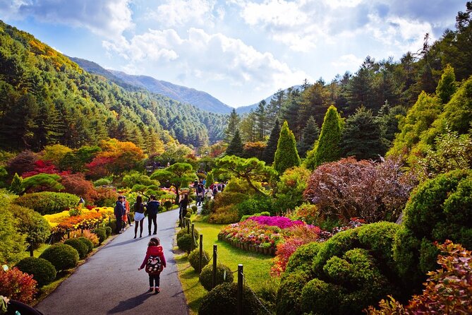 Full Day Private Tour Nami Island, Garden & Petite France - What the private format changes