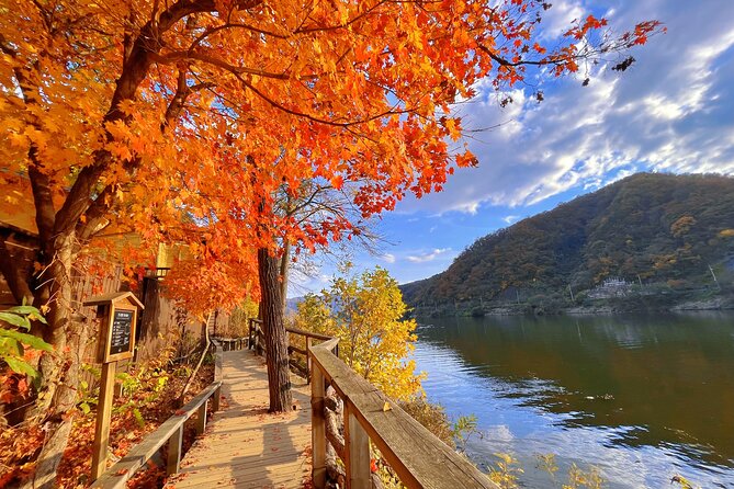 Full Day Private Tour Nami Island, Garden & Petite France - Is $260 per person a fair price?