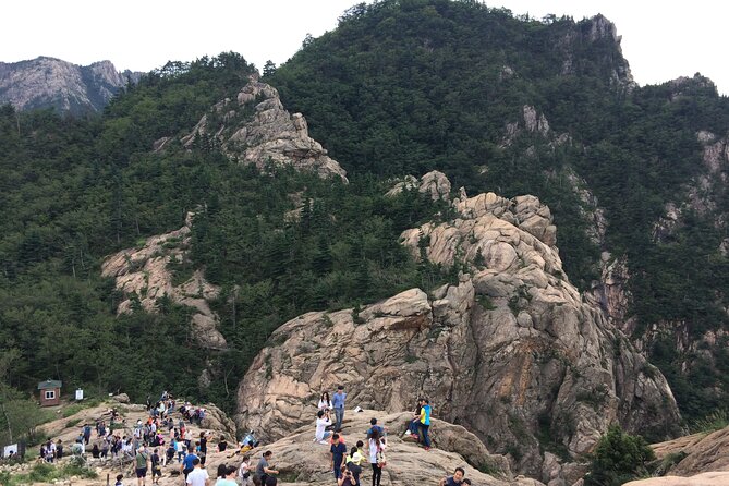 Full-Day Tour in Mt. Seorak & Nami (+Rail Bike Option) - Seoraksan and Shinheungsa Temple: the strongest part of the day