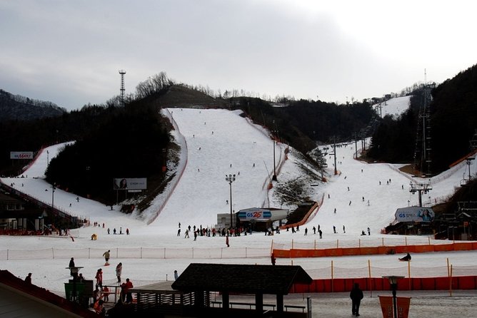 Gangchon Elysian Ski Day Trip from Seoul - Who should book this day trip?