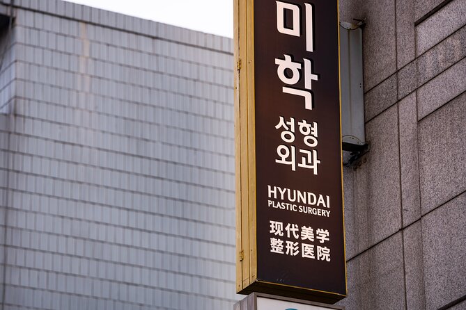 Gangnam Walking Tour on Youth and Society in Seoul Korea - Gangnam beyond the polished postcard