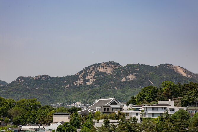 Gwanghwamun Tour l 120 minutes to Understand Local Korean Society - Practical details for the walk