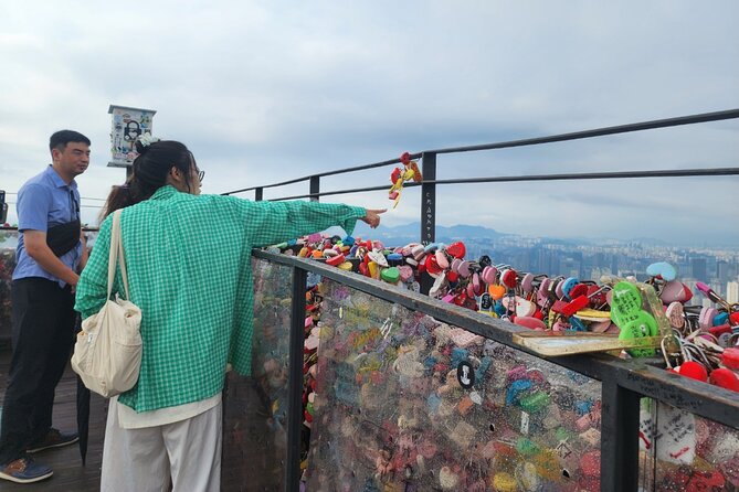 Highlights of Seoul Tour in Seoul: Deoksugung & N Seoul Tower - N Seoul Tower and a high view over central Seoul