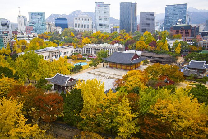 Highlights of Seoul Tour in Seoul: Deoksugung & N Seoul Tower - The guide can shape the whole morning