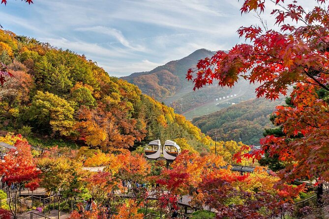 Hwadam Botanic Garden and Namhansanseong and Folk Village Trip - Key points at a glance