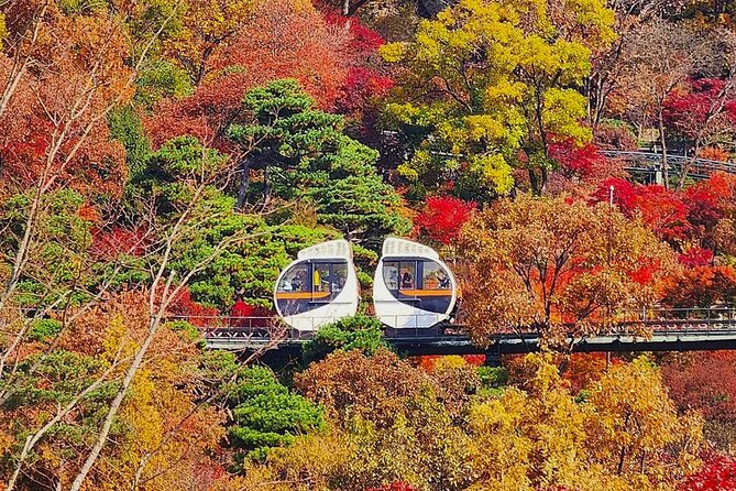 Hwadam Botanic Garden and Namhansanseong and Folk Village Trip - Hwadam Botanic Garden and the meaning of a peaceful conversation