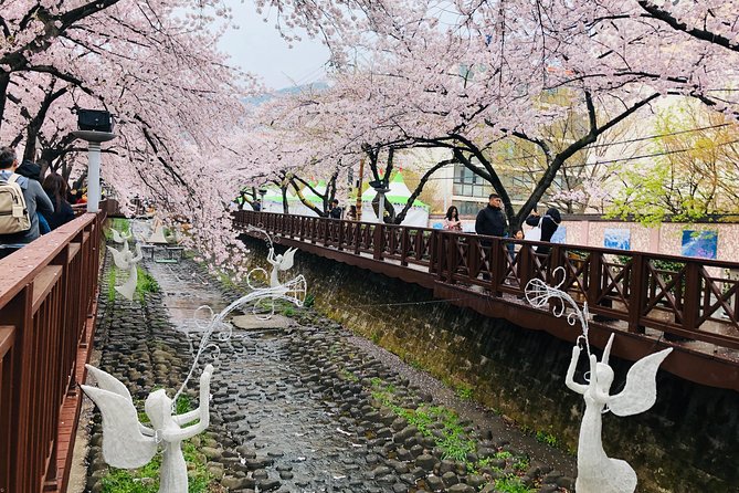 Jinhae Cherry Blossom + Busan Sunrise from Seoul - Why this overnight route appeals