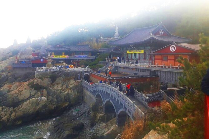 Jinhae Cherry Blossom + Busan Sunrise from Seoul - Walking the Yeojwacheon Stream