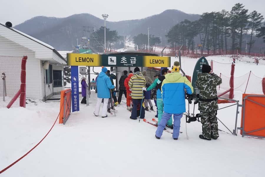 Jisan Forest Resort: Ski Full-Day Tour or Shuttle from Seoul - Key Points at a Glance