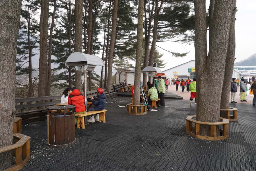 Jisan Forest Resort: Ski Full-Day Tour or Shuttle from Seoul - Should You Book It?