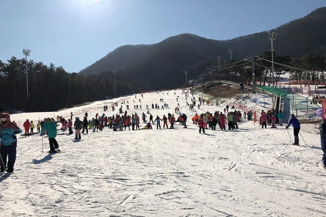 Jisan Forest Ski Resort and Everland 1 Day Tour - Three hours at Jisan Forest Resort