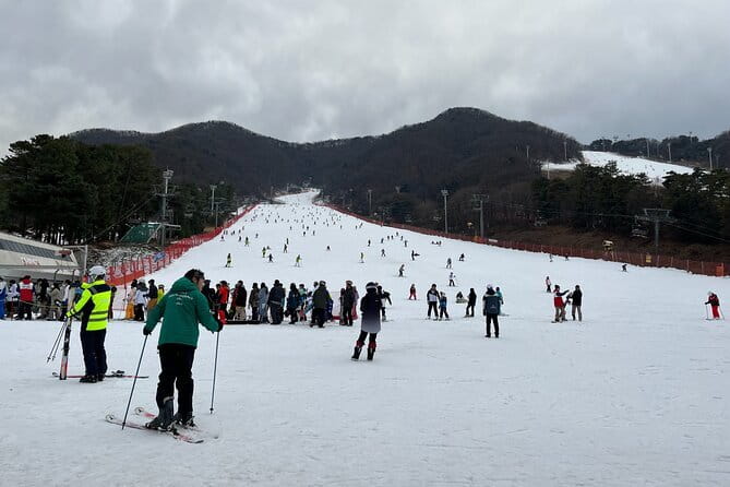 Jisan Forest Ski Resort and Everland 1 Day Tour - What the $58.83 price really covers