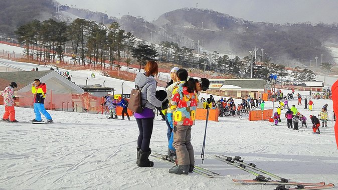 Korea Ski Tour from Seoul - Jisan Resort with Isaac Toast - A winter escape from Seoul without a complicated plan