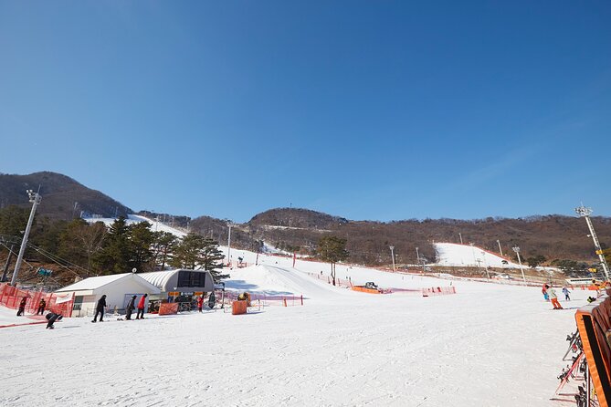 Korea Ski Tour from Seoul - Jisan Resort with Isaac Toast - What the 120-minute beginner lesson is like