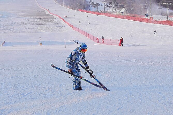 Korea Ski Tour from Seoul - Jisan Resort with Isaac Toast - Free time, lifts, and snow sledding