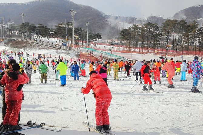 Korea Ski Tour from Seoul - Jisan Resort with Isaac Toast - How the group experience may feel