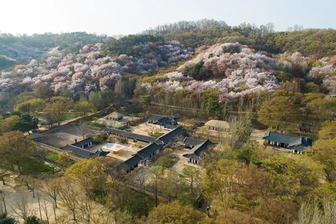 Korean Folk Village Afternoon Half day Tour - What the guide adds to the visit