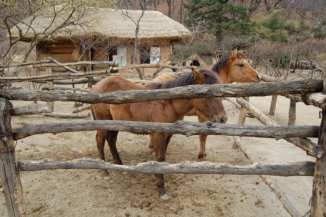 Korean Folk Village Afternoon Tour from Seoul - Should you book the Korean Folk Village afternoon tour?