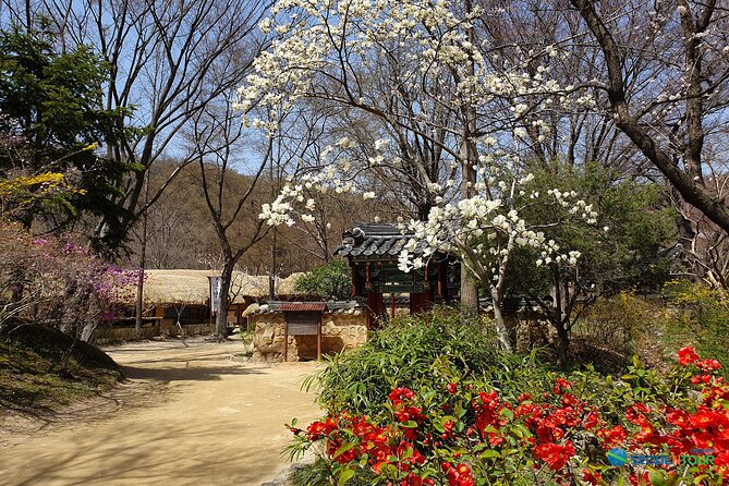 Korean Folk Village Half-day Guided Tour from Seoul - A realistic look at the schedule