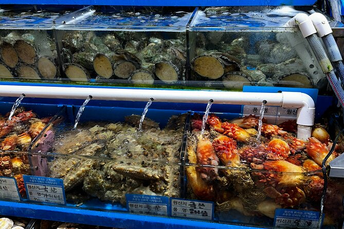 Korean Market Adventure with Chef Yie - Noryangjin Fish market - Booking, cancellation, and meeting details