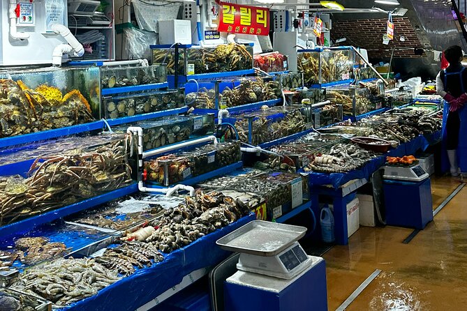 Korean Market Adventure with Chef Yie - Noryangjin Fish market - Choosing fish instead of ordering from a menu