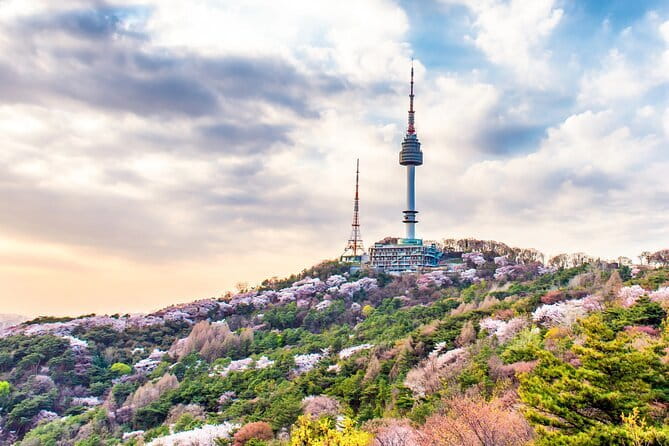 Lee’s Private 4-hour Customized Seoul Tour - Lee’s practical help is part of the value