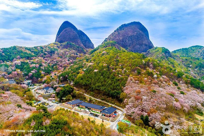 Maisan Cherry Blossom and Jeonju Hanok Village - Why Maisan and Jeonju work well together