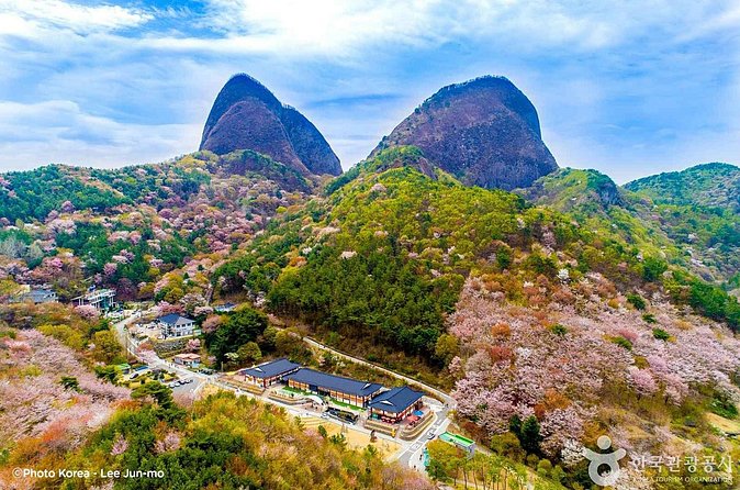 Maisan Cherry Blossom and Jeonju Hanok Village - What to bring and how to manage the day