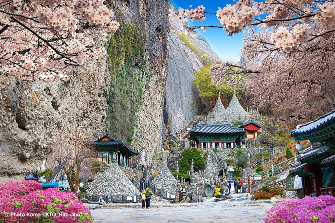 Maisan Cherry Blossom and Jeonju Hanok Village - Jeonju Hanok Village after the mountain