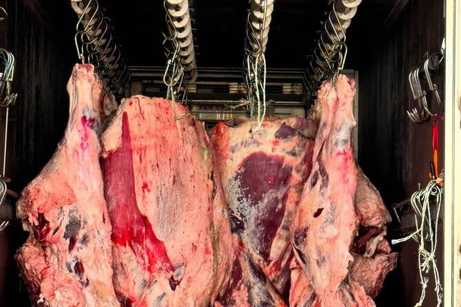 Majang Meat Market Experience: Private Tour with Han-woo Beef BBQ - Why Majang Market makes a memorable Seoul dinner