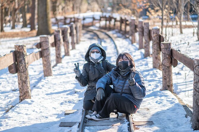 Make Your Trip Around Nami Island With an Expert(DSLR option) - Flexible alternatives, including Alpaca World