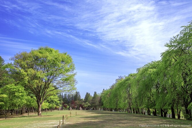 Mount Seorak and Nami Island One Day Tour from Seoul - What the guides add to the experience