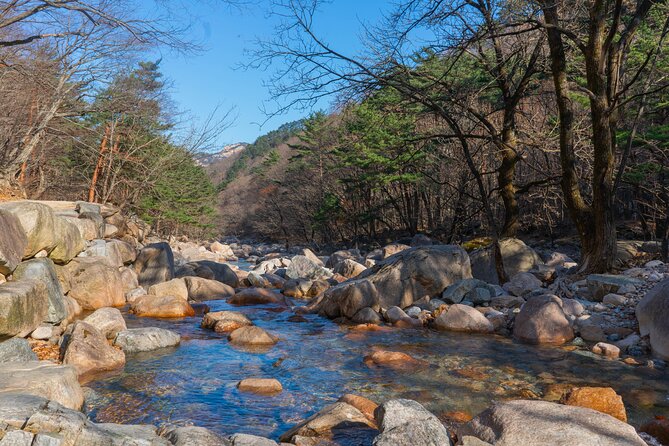 Mount Seorak and Nami Island One Day Tour from Seoul - Price and value at $80.95
