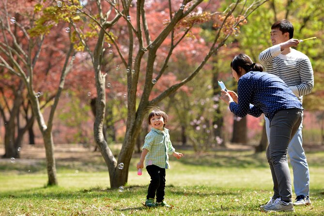 Mount Seorak and Nami Island One Day Tour from Seoul - Practical ways to make the day better