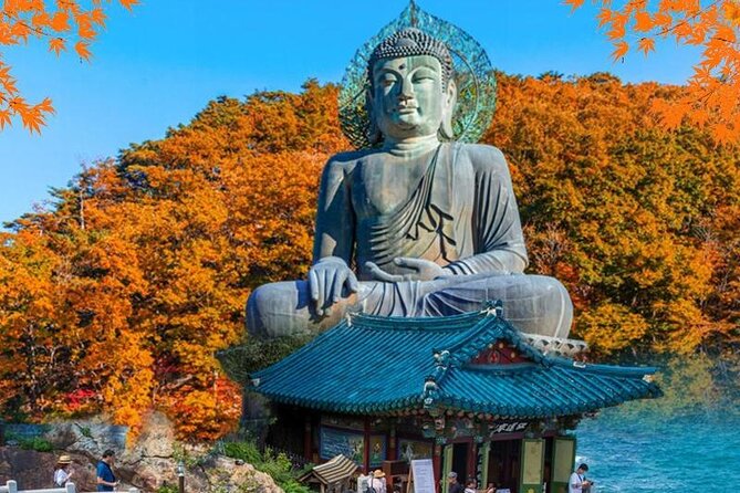 Mt.Seorak & Naksan Temple Day Trip from Seoul - Why this east coast day trip works