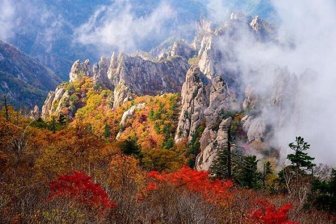 Mt.Seorak & Naksan Temple Day Trip from Seoul - Seoraksan National Park in 90 minutes