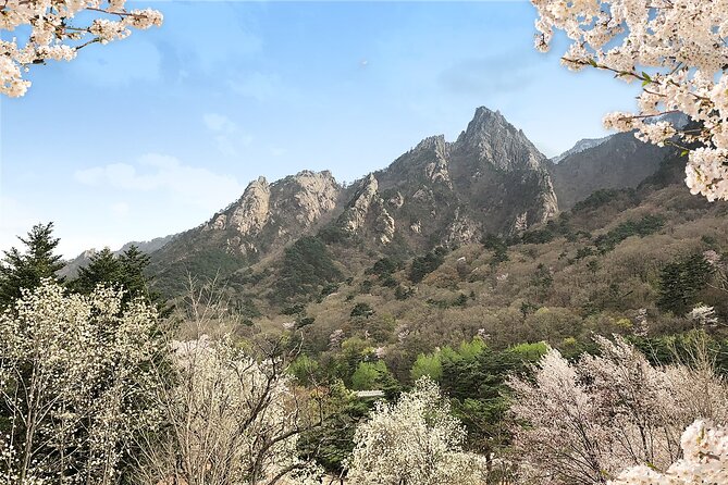 Mt. Seorak+Nami Island+Garden of Morning Calm Day Trip from Seoul - Seoraksan National Park and Shinheungsa Temple
