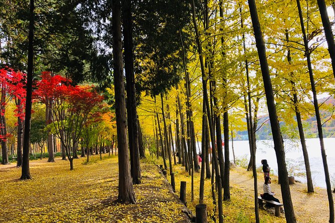 Mt. Seorak+Nami Island+Garden of Morning Calm Day Trip from Seoul - Nami Island’s paths and crowds