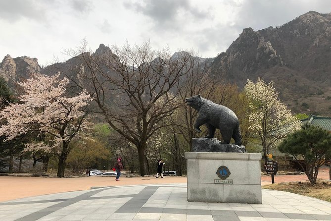 Mt. Seorak+Nami Island+Garden of Morning Calm Day Trip from Seoul - The Garden of Morning Calm