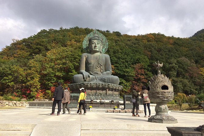 Mt. Seorak+Nami Island+Garden of Morning Calm Day Trip from Seoul - The guide can make or break the pace