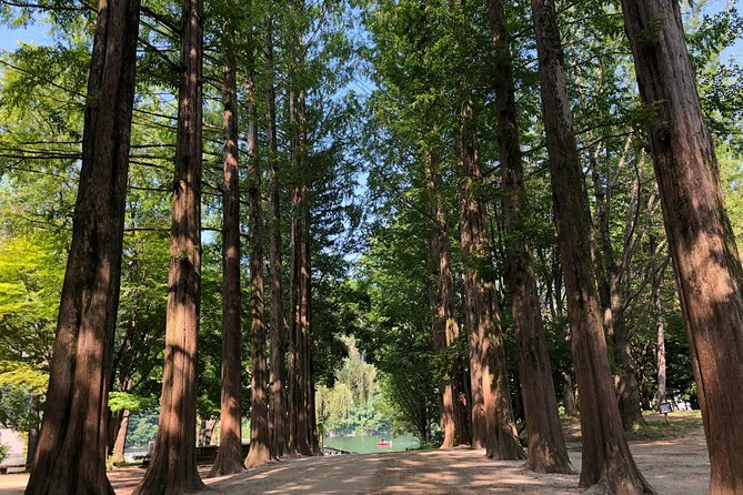 Mt. Seorak+Nami Island+Garden of Morning Calm Day Trip from Seoul - Food, packing, and comfort