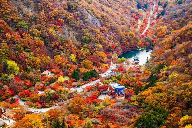Naejangsan National Park Autumn Foliage One Day Tour from Seoul - What the $46.29 price really buys you