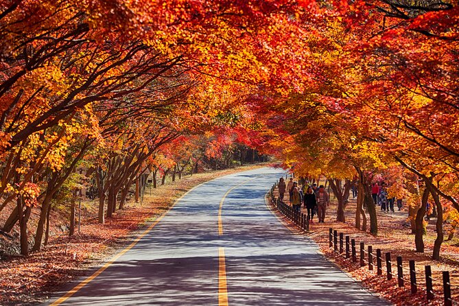 Naejangsan National Park Autumn Foliage One Day Tour from Seoul - Group size, pace, and the feel of the day