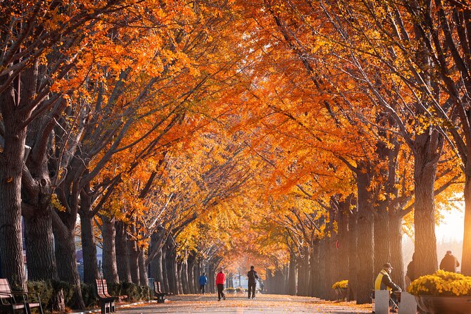 Naejangsan National Park Autumn Foliage One Day Tour from Seoul - Who should book this Naejangsan day trip?