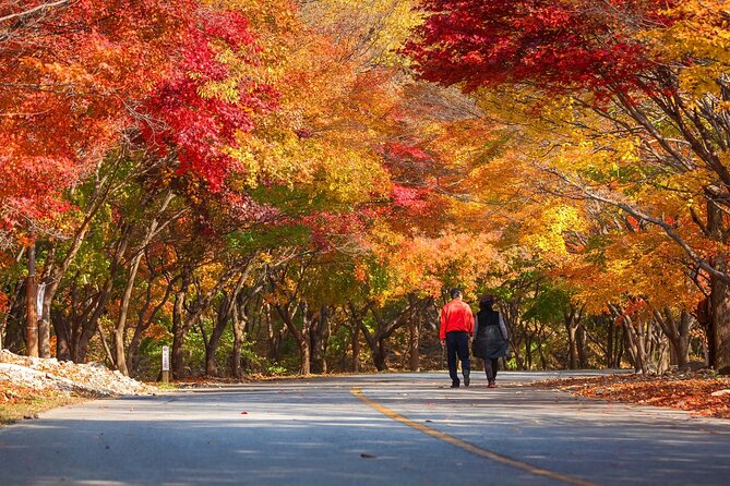 Naejangsan National Park Autumn Foliage One Day Tour from Seoul - Should you book it?