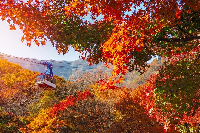 Naejangsan National Park Autumn Foliage One Day Tour from Seoul - Naejangsa Temple and the Baekje-era setting