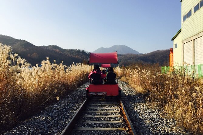Nami Island and Begonia Bird Park Tour from Seoul (opt Railbike) - A countryside day beyond Seoul